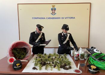 Acate: scoperta una piantagione di 243 piante di marijuana, Carabinieri arrestano giovane coppia di tedeschi
