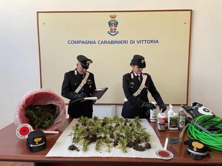 Acate: scoperta una piantagione di 243 piante di marijuana, Carabinieri arrestano giovane coppia di tedeschi