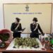 Acate: scoperta una piantagione di 243 piante di marijuana, Carabinieri arrestano giovane coppia di tedeschi