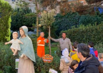 Due lecci e due mandorli piantati dai ragazzi della scuola delle suore Orsoline per la festa dell’albero a Ragusa. FOTO