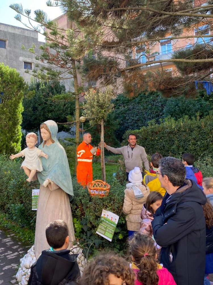 Due lecci e due mandorli piantati dai ragazzi della scuola delle suore Orsoline per la festa dell’albero a Ragusa. FOTO
