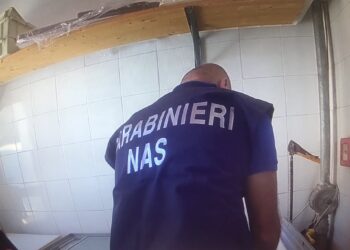 Nas di Ragusa: i controlli del periodo natalizio