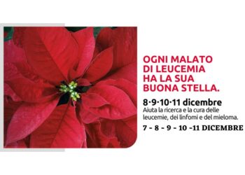 Volontari AIL in piazza per una buona stella