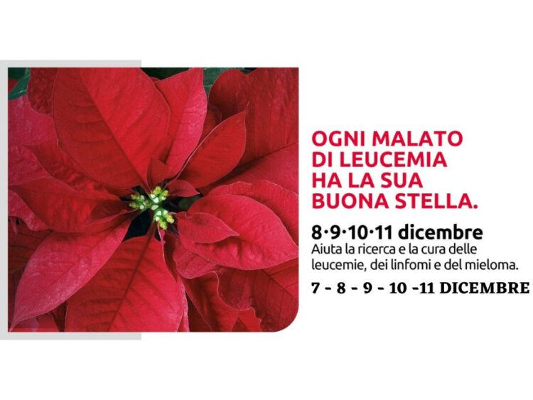 Volontari AIL in piazza per una buona stella