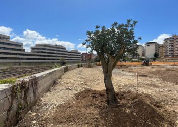 Gruppo Peppe Cassì Sindaco, il bilancio di fine mandato