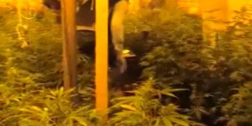 Un laboratorio di droga scoperto dalla Polizia di Stato. Arrestati due pregiudicati vittoriesi e sequestrati 147 kg di  marijuana