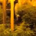 Un laboratorio di droga scoperto dalla Polizia di Stato. Arrestati due pregiudicati vittoriesi e sequestrati 147 kg di marijuana