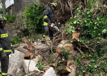 Il forte vento mette a dura prova i vigili del fuoco: tantissimi gli interventi in provincia