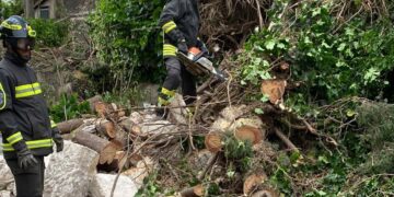 Il forte vento mette a dura prova i vigili del fuoco: tantissimi gli interventi in provincia