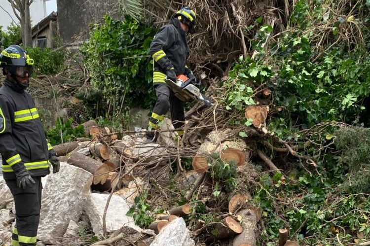 Il forte vento mette a dura prova i vigili del fuoco: tantissimi gli interventi in provincia