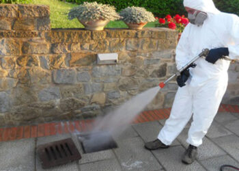 Estate 2023. Parte il primo ciclo di disinfestazione del territorio ragusano