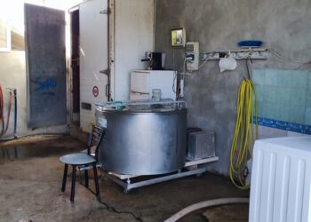 Controlli tra Ispica, Rosolini e Noto: i carabinieri sospendono un allevamento e un caseificio