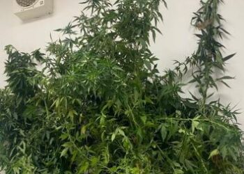 Santa Croce Camerina: Coltivava cannabis a casa, arrestato dai Carabinieri