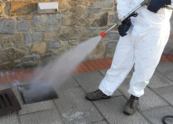 Ragusa: disinfestazione del territorio ibleo il 18, 19 e 20 luglio 2023