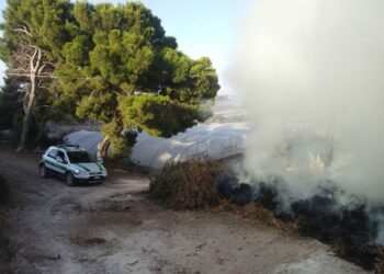 Contrasto alle “fumarole”, 18 i produttori agricoli già denunciati