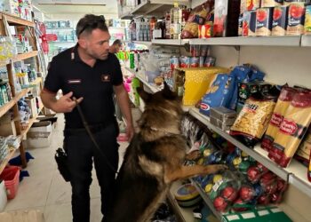 Market della droga, arrestato un uomo a Punta Braccetto