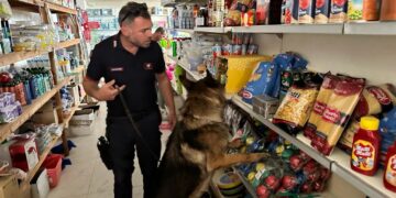 Market della droga, arrestato un uomo a Punta Braccetto