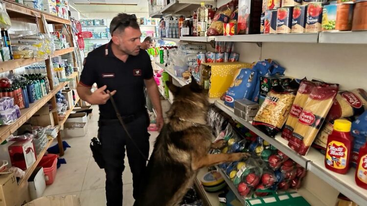 Market della droga, arrestato un uomo a Punta Braccetto