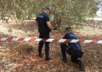 Modica: ritrovato ordigno bellico risalente alla Seconda Guerra Mondiale