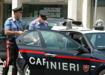 Scoglitti: sospensione energia elettrica, 56enne danneggia furgone ENEL, denunciato dai Carabinieri