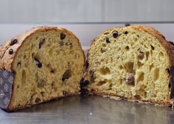 Mazzarrone: grande successo per il “Panettone con uva passa summer festival”
