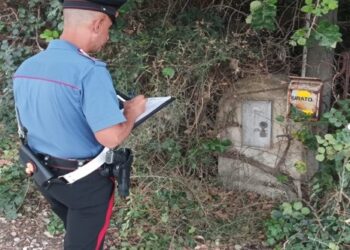 Donnalucata: arrestata una donna che rubava energia elettrica