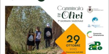 Chiaramonte: camminata fra gli ulivi monumentali