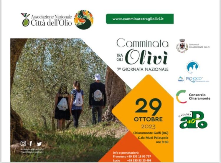 Chiaramonte: camminata fra gli ulivi monumentali