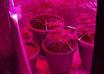 Ragusa: arrestano quindicenne per detenzione e produzione ai fini di spaccio