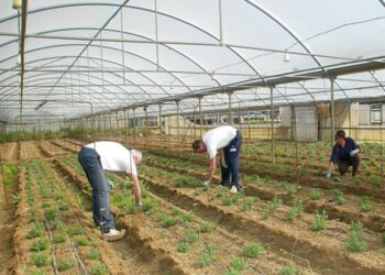 Operazione della Squadra Mobile della Questura di Ragusa, a Vittoria