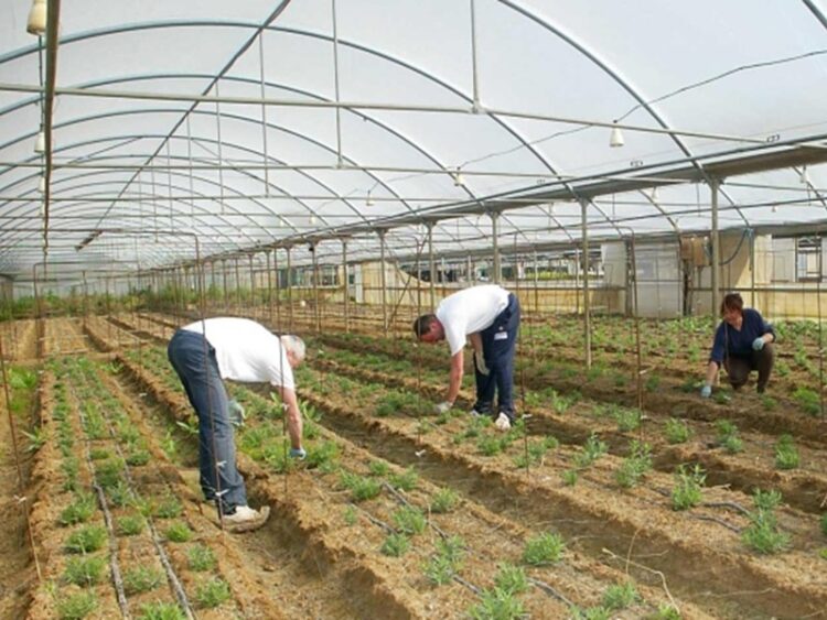 Operazione della Squadra Mobile della Questura di Ragusa, a Vittoria