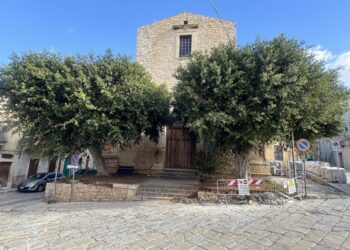 Troppi alberi secolari espiantati a Comiso