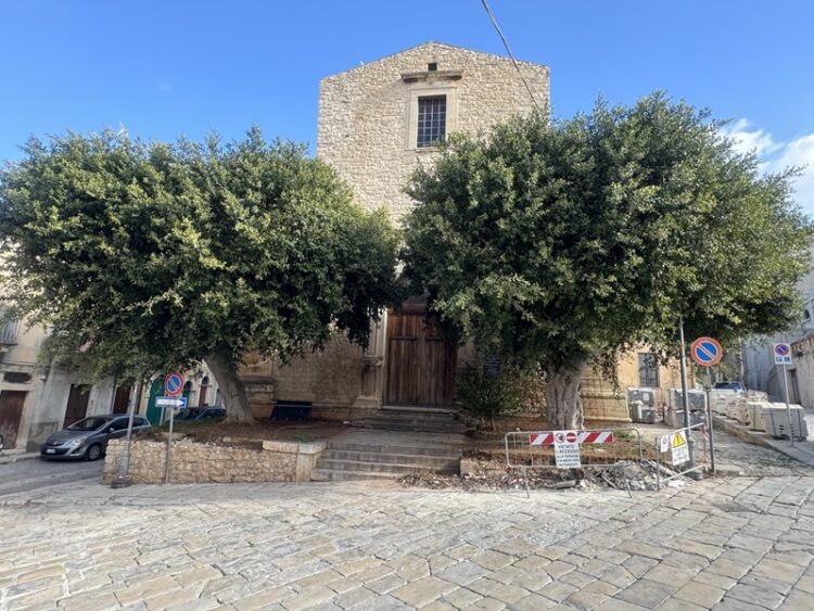 Troppi alberi secolari espiantati a Comiso