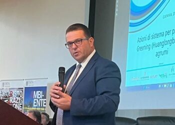 Sostegni al comparto vitivinicolo e agrumicolo, alla viabilità rurale e ai Consorzi di Bonifica: soddisfazione di Confagricoltura Sicilia per l’approvazione della Finanziaria regionale