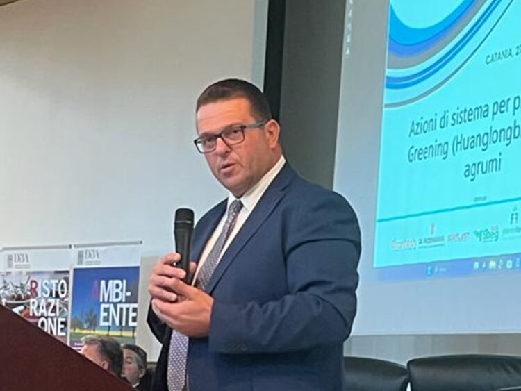 Sostegni al comparto vitivinicolo e agrumicolo, alla viabilità rurale e ai Consorzi di Bonifica: soddisfazione di Confagricoltura Sicilia per l’approvazione della Finanziaria regionale