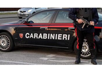 Intensa e ininterrotta attività di controllo e repressione dei Carabinieri sul territorio provinciale
