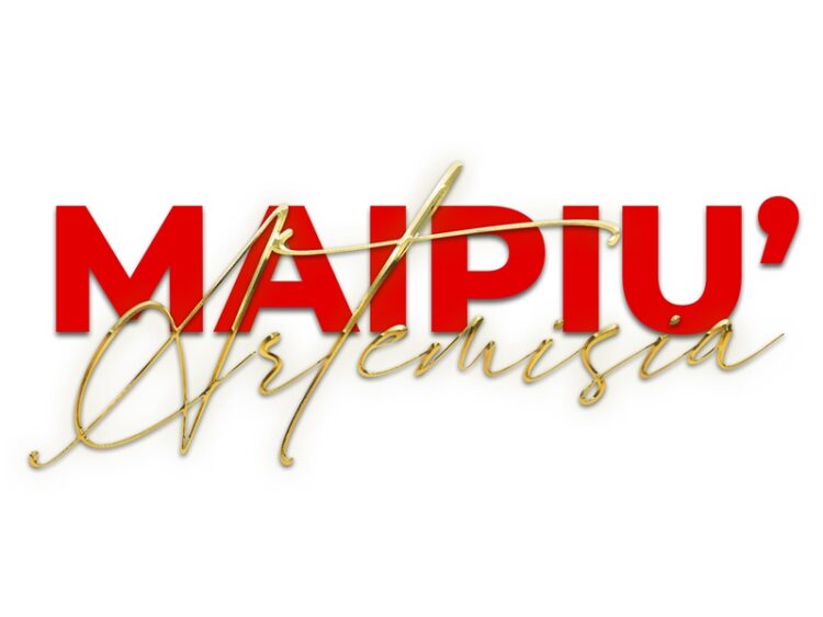 “Mai più Artemia Gentileschi: dalle donne per le donne”