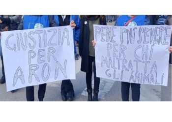 Servono pene più severe per i reati contro gli animali