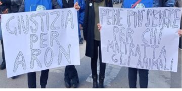Servono pene più severe per i reati contro gli animali