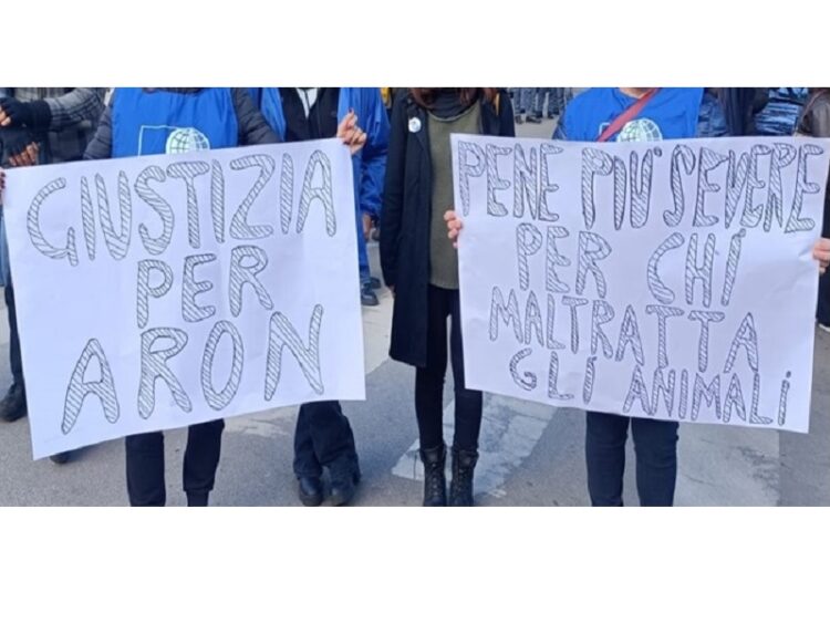 Servono pene più severe per i reati contro gli animali