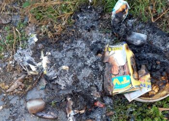 Fronte Verde: bruciare i rifiuti è un’azione dannosa per l’uomo e per l’ambiente!