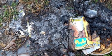 Fronte Verde: bruciare i rifiuti è un’azione dannosa per l’uomo e per l’ambiente!