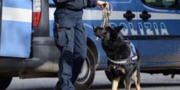 Ragusa: Iniziativa di Prossimità “L’Impegno dei cinofili e le straordinarie capacità del cane al servizio della collettività”