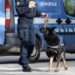 Ragusa: Iniziativa di Prossimità “L’Impegno dei cinofili e le straordinarie capacità del cane al servizio della collettività”