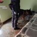 Ispica: arrestato dai Carabinieri diciannovenne trovato in possesso di cocaina e hashish