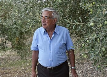 Per l’Olio DOP Monti Iblei produzione inferiore alle attese ma qualità eccelsa