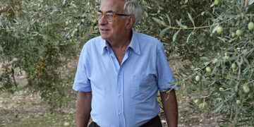 Per l’Olio DOP Monti Iblei produzione inferiore alle attese ma qualità eccelsa