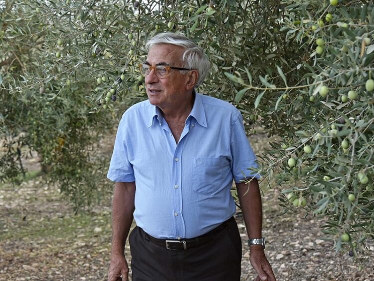 Per l’Olio DOP Monti Iblei produzione inferiore alle attese ma qualità eccelsa