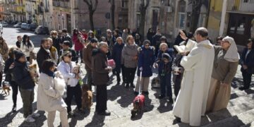 Festa di San Giuseppe a Ragusa, domenica benedizione degli animali sul sagrato della chiesa