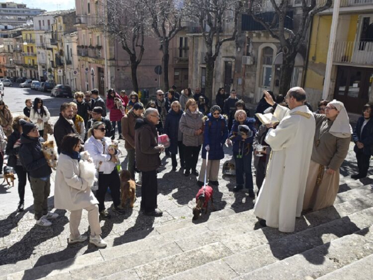 Festa di San Giuseppe a Ragusa, domenica benedizione degli animali sul sagrato della chiesa
